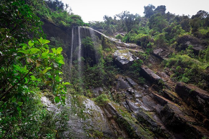 La Chorrera and Chiflon Waterfalls Private Hike Tour - El Chiflón Waterfalls: 55 Meters of Misty Power