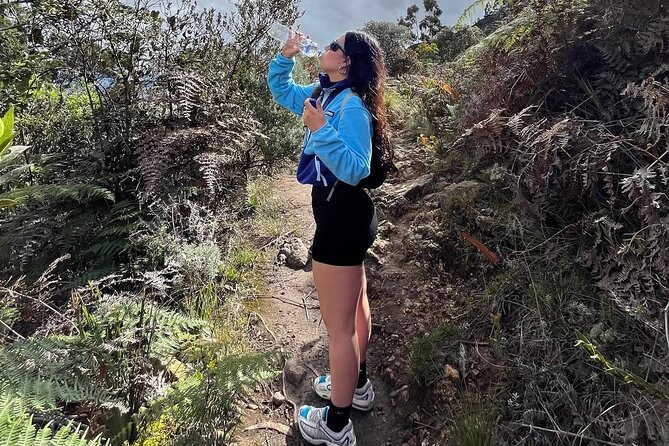 Las Moyas Morning Hike: Bogotá’s Best Skyline View + Local Guide - Price and value: what $26.60 buys you in the Eastern Hills