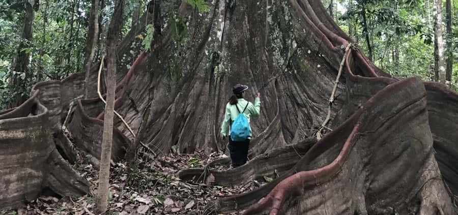 Leticia: Amazing Three Day Jungle Tours - Day 1 in Puerto Nariño: indigenous community time, monkeys, and dolphin boats