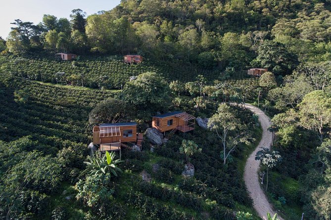 Luxury Coffee Plantation Private Tour (9 Hrs.) - Key highlights you will actually feel during the day