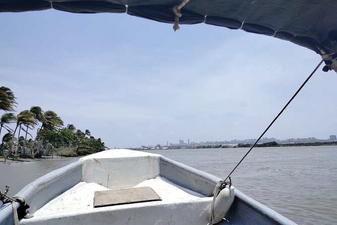 Magdalena River and Bocas de Cenizas Tour - Norte Centro Historico Orientation and the Boat on the Magdalena River