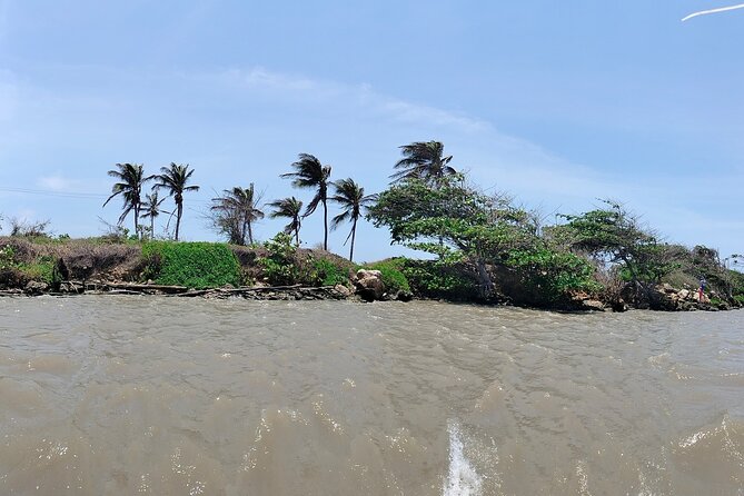 Magdalena River and Bocas de Cenizas Tour - Who This Tour Fits Best (and Who Should Reconsider)