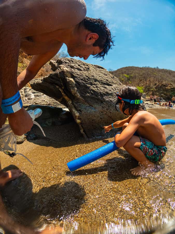 Magdalena: Tayrona Park Cruise with Snorkeling & Beaches - Granate: the best snorkeling spot, plus a turtle chance