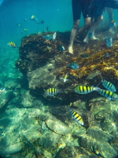 Magdalena: Tayrona Park Cruise with Snorkeling & Beaches
