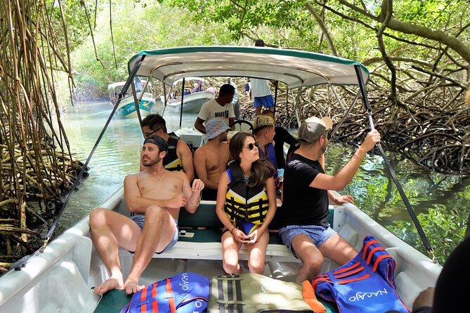 Magical Full-Day Tour Through The Mangroves And The Beach In Isla de Barú - Playa Blanca and the mangrove boat: animals, feeding, and the ecosystem lesson