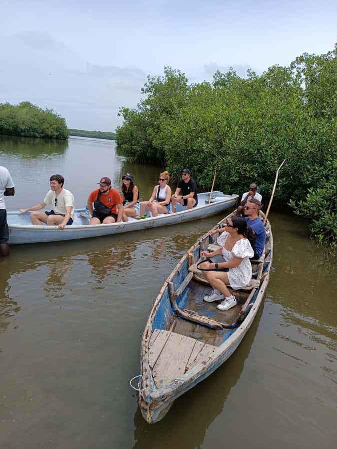 Mangroves, cultural fishing, black heritage town and lunch - Should You Book It? My Practical Take