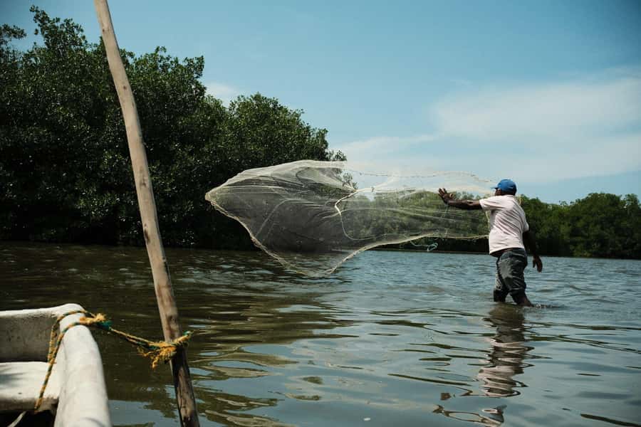 Mangroves, cultural fishing, black heritage town and lunch - The Afro-Caribbean Story You Actually Get to See