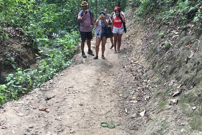 Maravilloso tour Parque Tayrona desde Cartgena, sector Cabo San del Guia - Cabo San Juan del Guía: swimming, lunch choices, and the best hour of the day