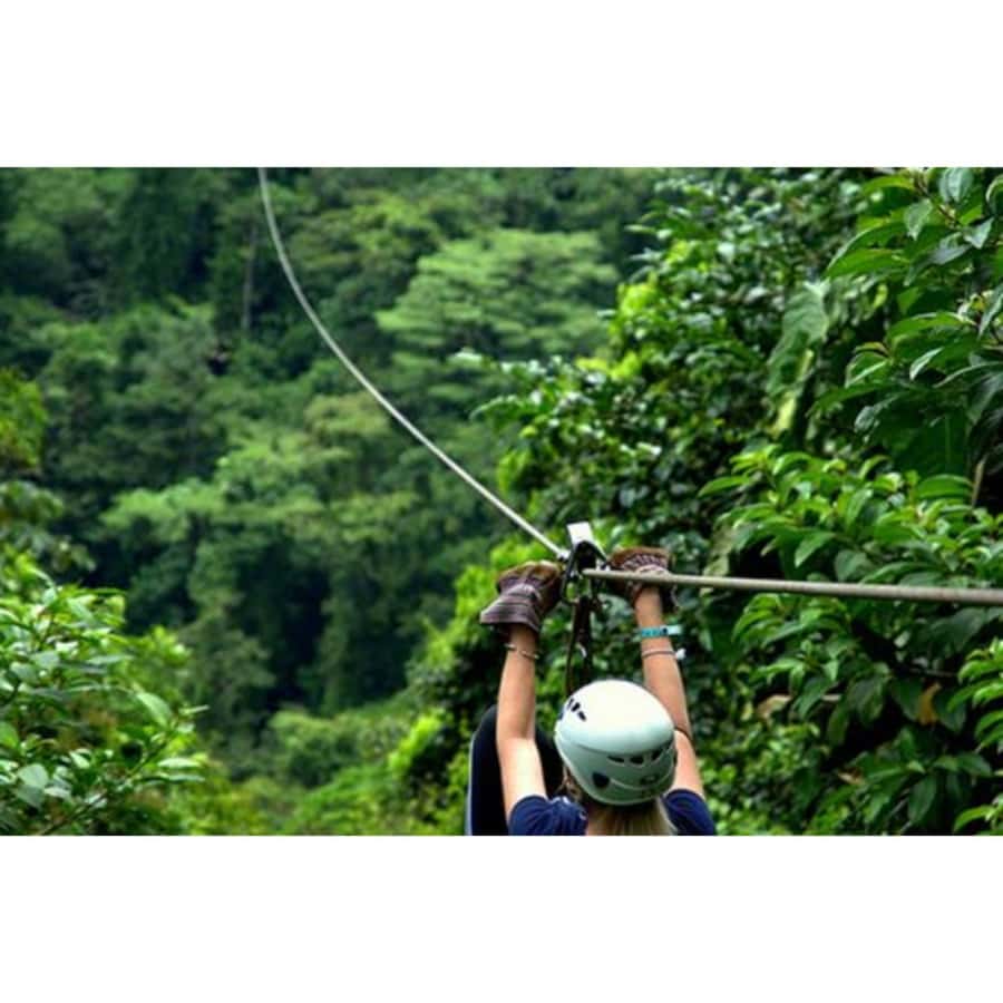 Medellin: 4-Hour Zip-Line Adventure - Key points I’d plan around