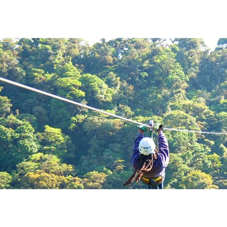 Medellin: 4-Hour Zip-Line Adventure - Price and what you really get for $119