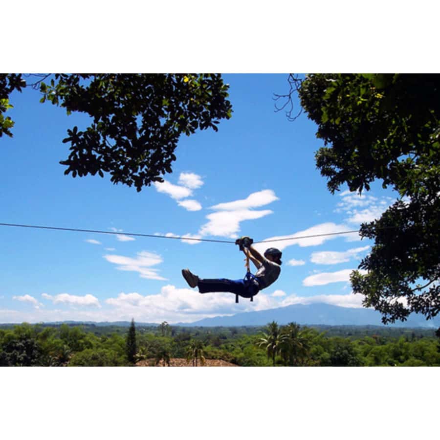 Medellin: 4-Hour Zip-Line Adventure - What makes this Medellin zip-line notable (140+ meters over treetops)