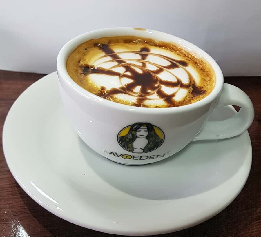 Medellin: Avoeden Café Coffee Brewing Workshop - Who this Medellín coffee brewing workshop is best for