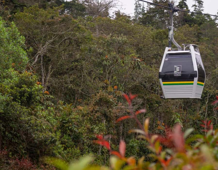 Medellín: Botanical Garden and Arvi Park City Tour - Key things that make this tour worth your time