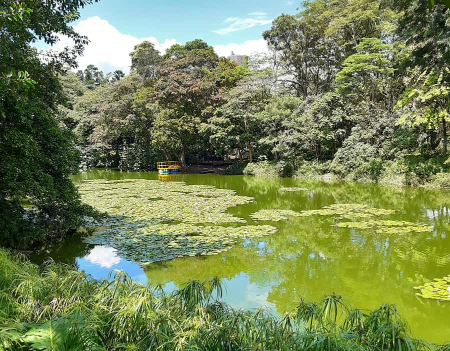 Medellín: Botanical Garden and Arvi Park City Tour - FAQ