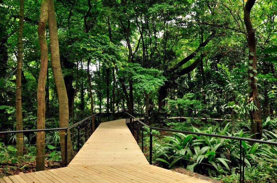Medellín: Botanical Garden and Arvi Park City Tour - From your hotel to Antioquia University area, this tour gets you oriented fast