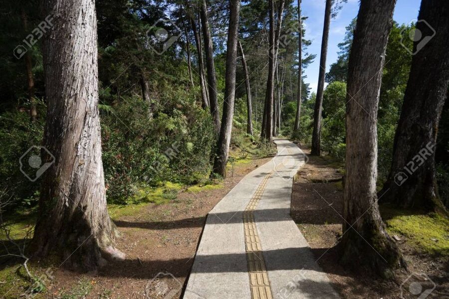 Medellín: Botanical Garden and Arvi Park City Tour - Arví Park: trails, viewpoints, and a protected forest reserve feeling