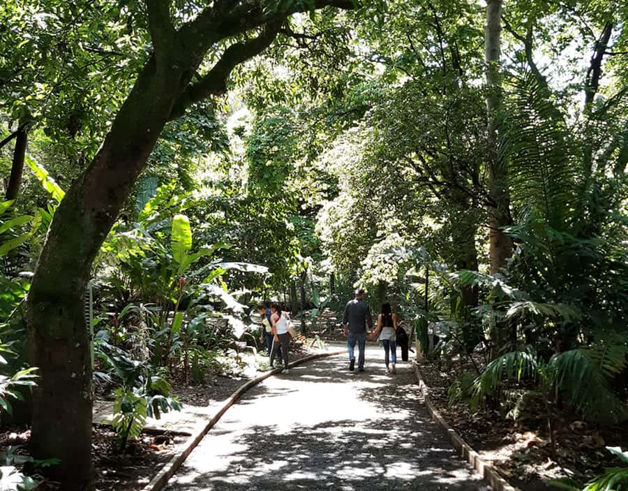 Medellín: Botanical Garden and Arvi Park City Tour - Should you book this Medellín Botanical Garden and Arví Park City Tour?