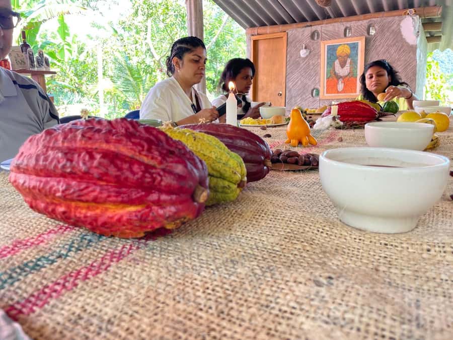 Medellín: Chocolate Tour & Exfoliation in beautiful river - Key highlights that matter
