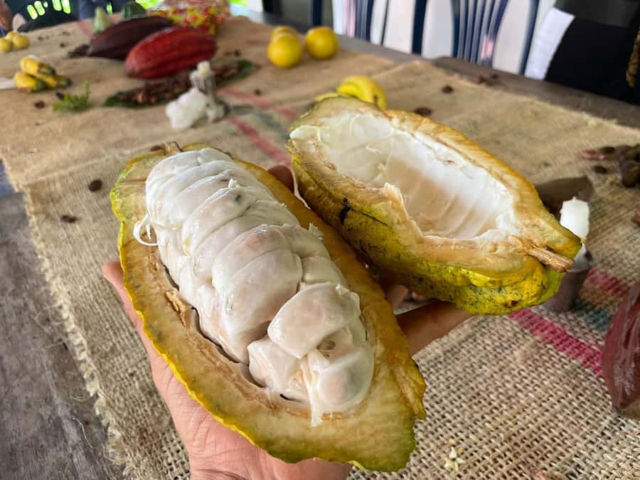 Medellín: Chocolate Tour & Exfoliation in beautiful river - Make your own chocolate bar, package it, and take it home