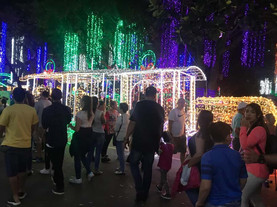Medellin Christmas Lights Tour - Medellin’s Christmas Lights: The Real Value is the Time-Saving