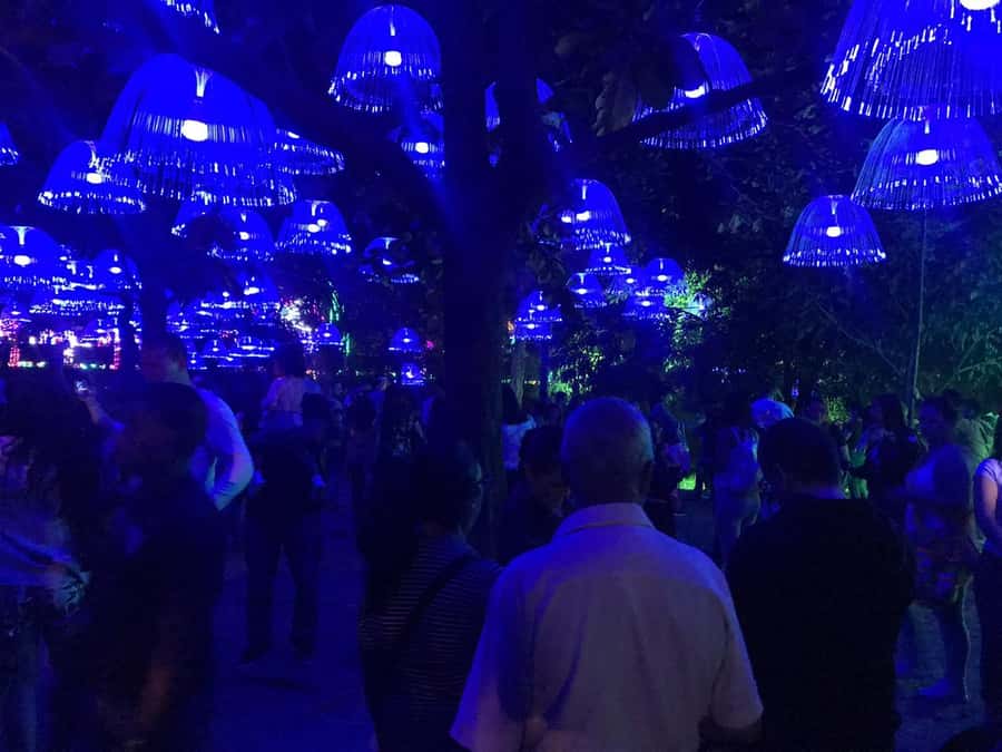 Medellin Christmas Lights Tour - The Next Light-District Stops: Walking Breaks, Views, and Shopping Time