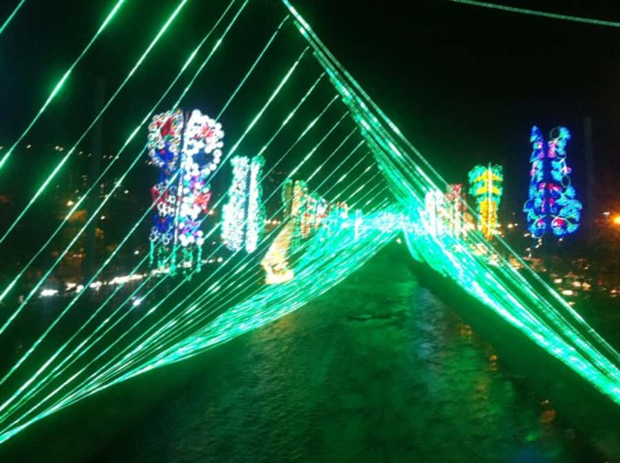 Medellin Christmas Lights Tour - Who This Tour Fits Best