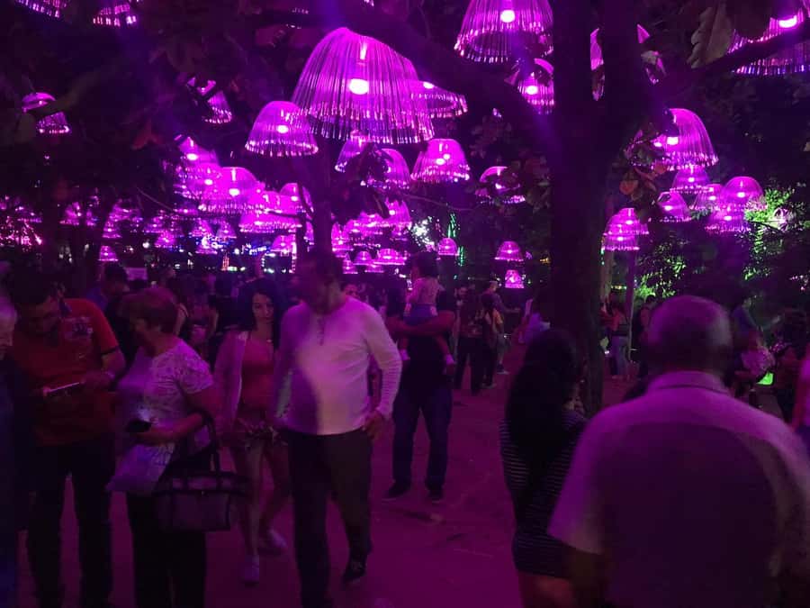 Medellin Christmas Lights Tour - El Poblado Pickup: Start Where You Actually Want to Be