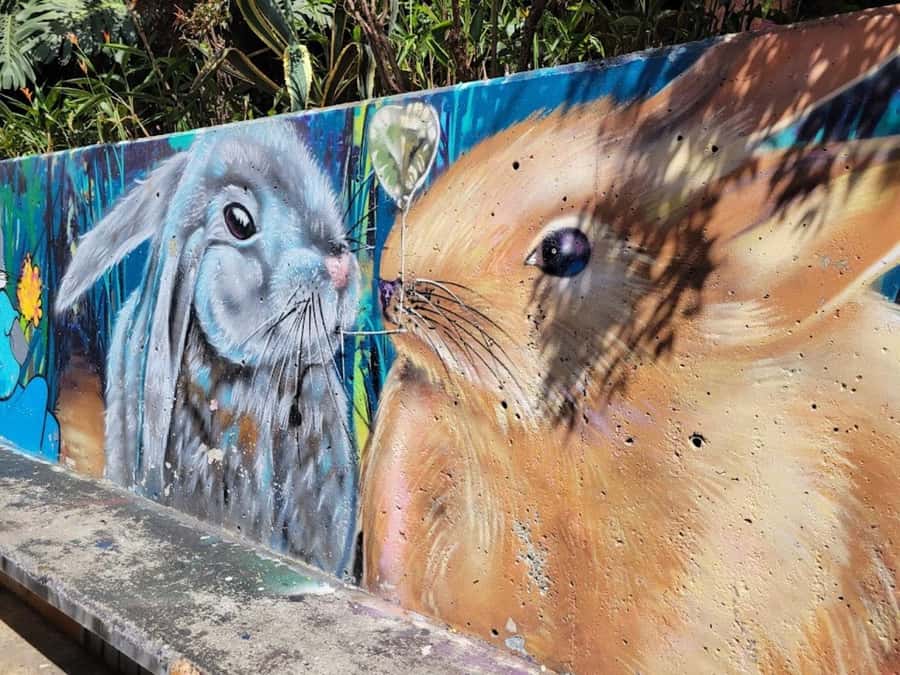 MEDELLIN: CITY TOUR MEDELLIN + GRAFFITOUR COMUNA 13 - Price and value: is $50 fair for this mix of city and Comuna 13?
