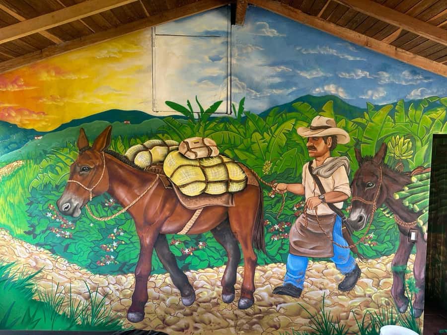 Medellin: Coffee and fruit tour - Who should book Agrotur el Llano’s coffee and fruit tour?