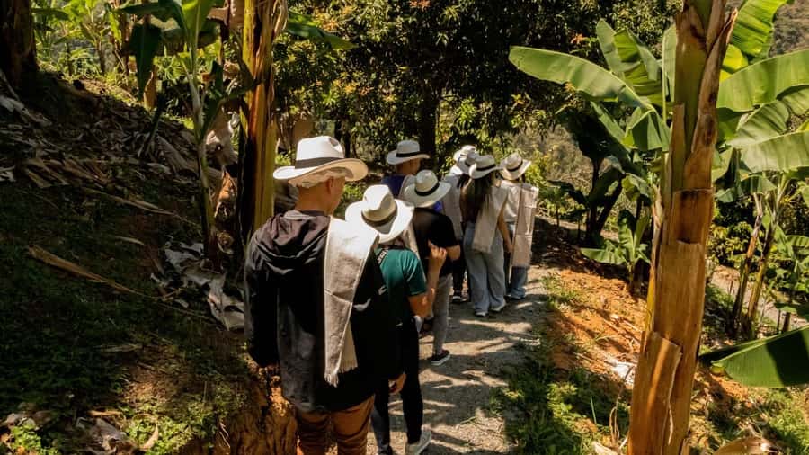 Medellin: Coffee and fruit tour - Coffee processing and cupping: what you should actually expect to learn