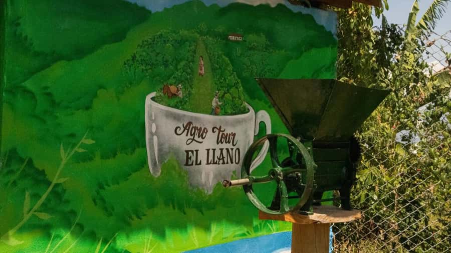 Medellin: Coffee and fruit tour - Tropical fruit tastings in Antioquia: more than a snack