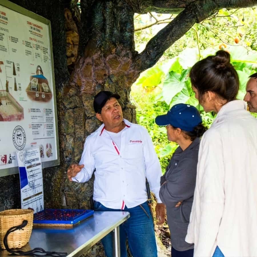 Medellin: Coffee Farm and Barista Workshop Experience - From Arví Park Metro to Don Leandro Special Coffee Farm