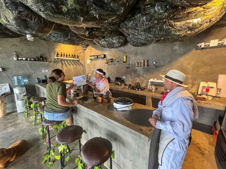 Medellin: Coffee Farm and Barista Workshop Experience - Price and Value: Is $66 Worth It?