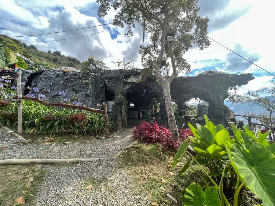 Medellin: Coffee Farm and Barista Workshop Experience - Who Should Book This Medellín Workshop