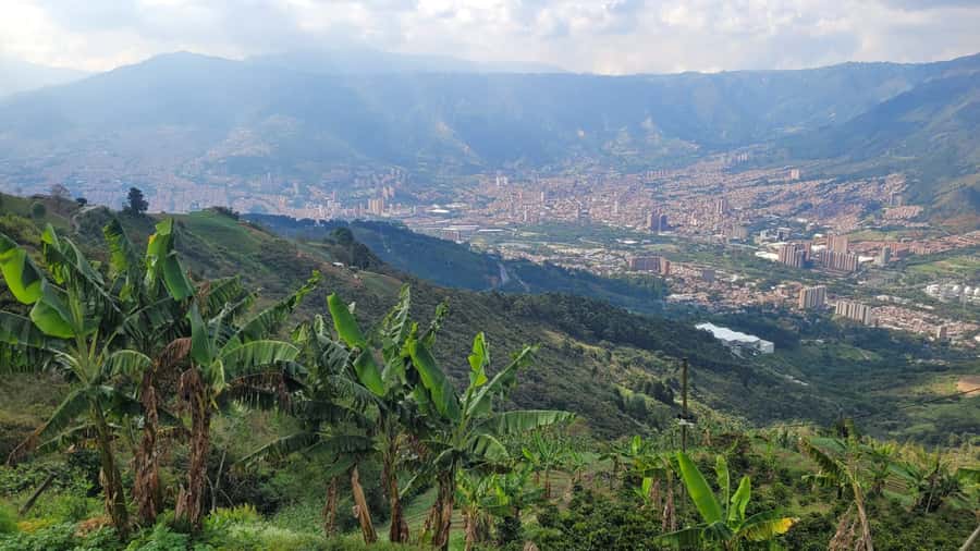 Medellin: Coffee Farm Tour & Spa with Overnight Glamping - The Coffee Tour in the Reserved Forest: Seed, Soil, and Processing