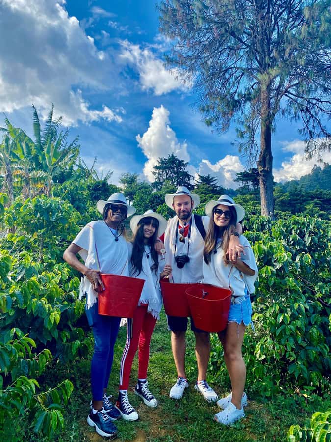 Medellín Coffee Farm Tour with Trolley and Cable Car Ride - Key things to know before you go