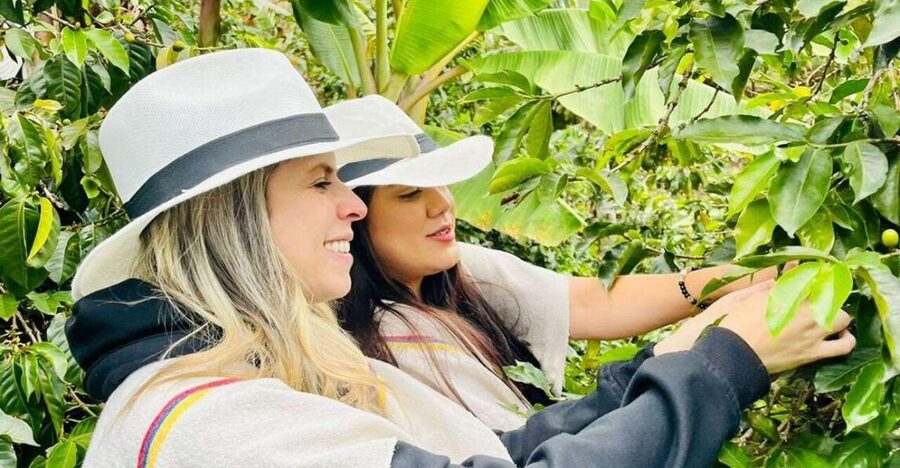 Medellín Coffee Farm Tour with Trolley and Cable Car Ride - Harvesting coffee berries: hands-on, not staged