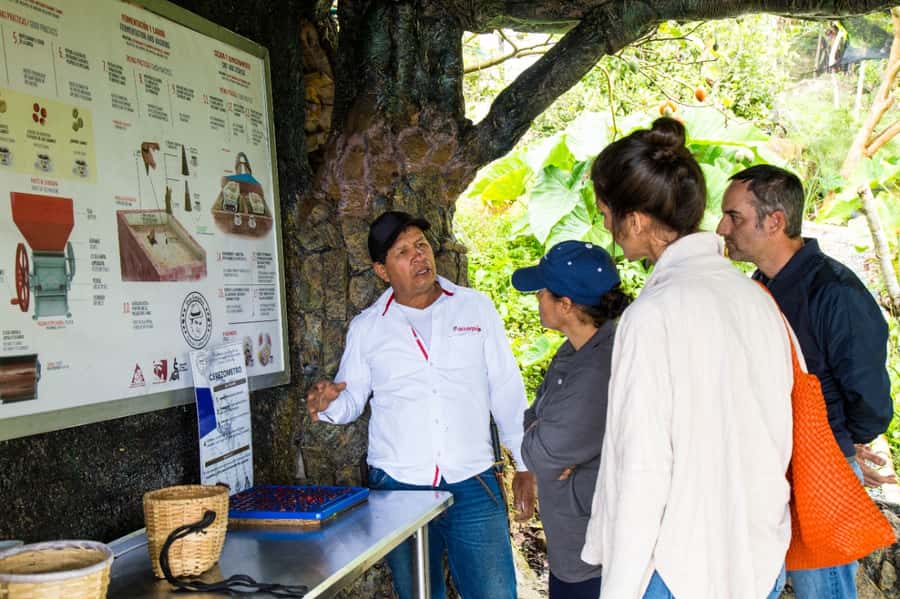 Medellin: Coffee Tour and Wellness Spa - Should you book this Medellín coffee tour and wellness spa?