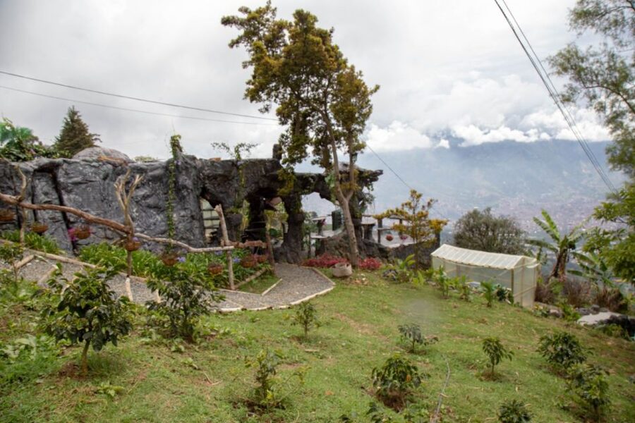 Medellin: Coffee Tour and Wellness Spa - Who this tour is for, and who should skip it