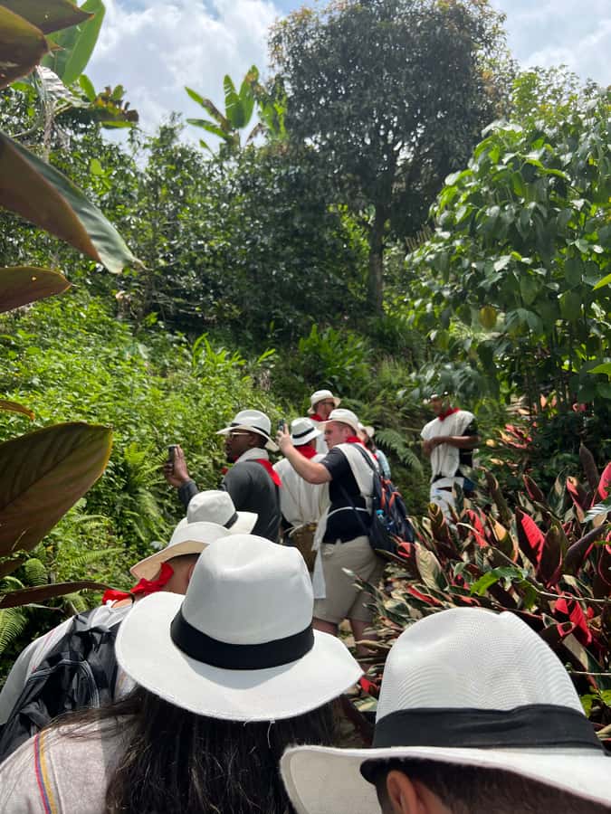 Medellín: Coffee Tour Experience at a Coffee Farm - Medellín to Envigado: a half-day with real coffee work