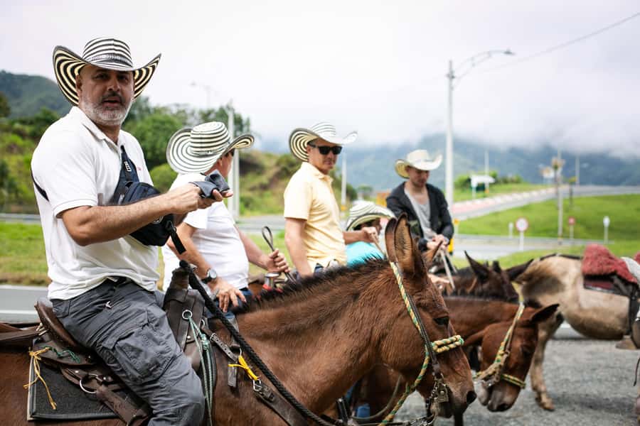 Medellin: Coffee Tour, Horseback Arrival, and Sugar Cane - Key things I’d pay attention to