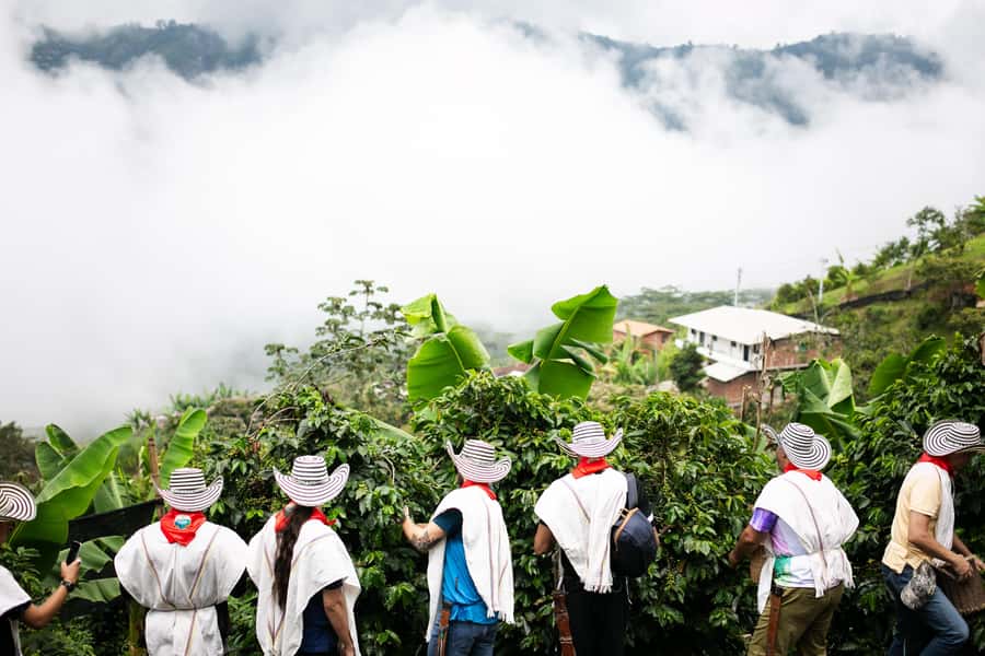Medellin: Coffee Tour, Horseback Arrival, and Sugar Cane - Who this tour suits best (and who should skip it)