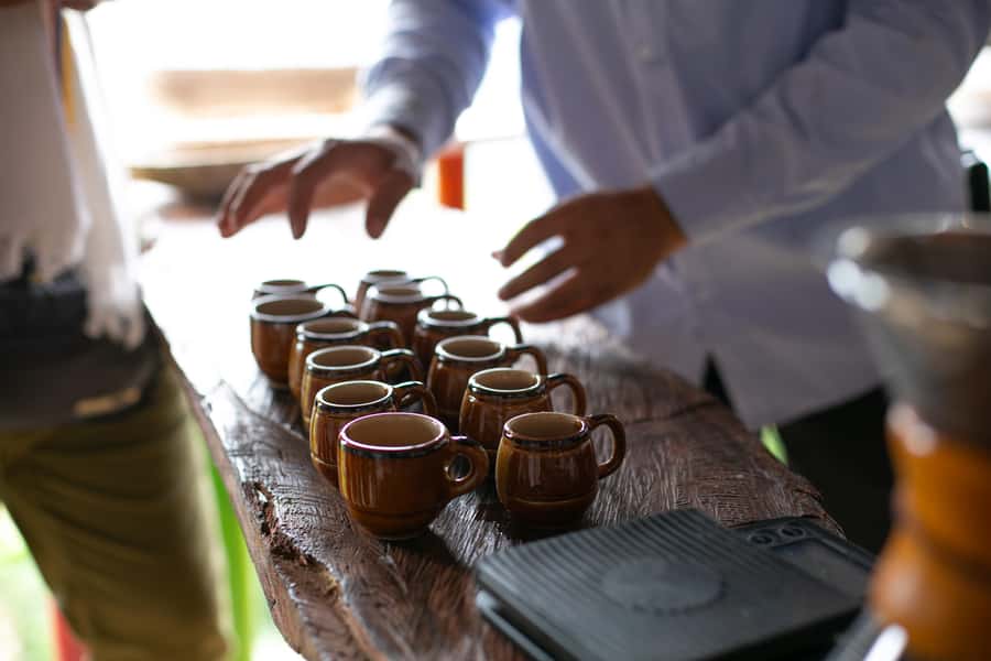 Medellin: Coffee Tour, Horseback Arrival, and Sugar Cane - Coffee, sugar cane, and those Medellín-to-the-hills views