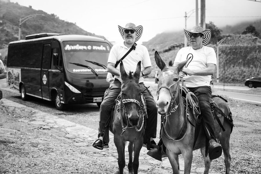 Medellin: Coffee Tour, Horseback Arrival, and Sugar Cane - The coffee farm tour: plant to cup, with tastings that teach