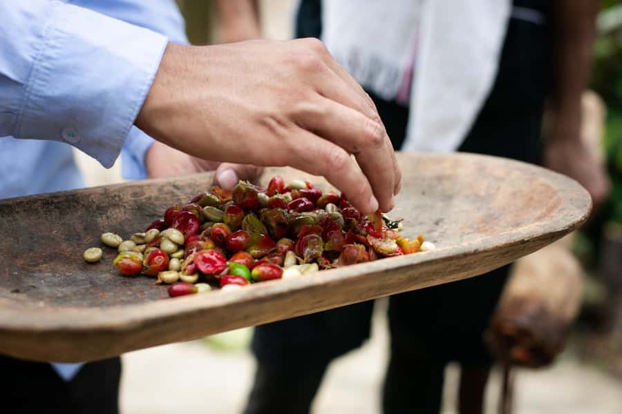 Medellin: Coffee Tour, Horseback Arrival, and Sugar Cane - Guatapé photo time: making it worth the drive