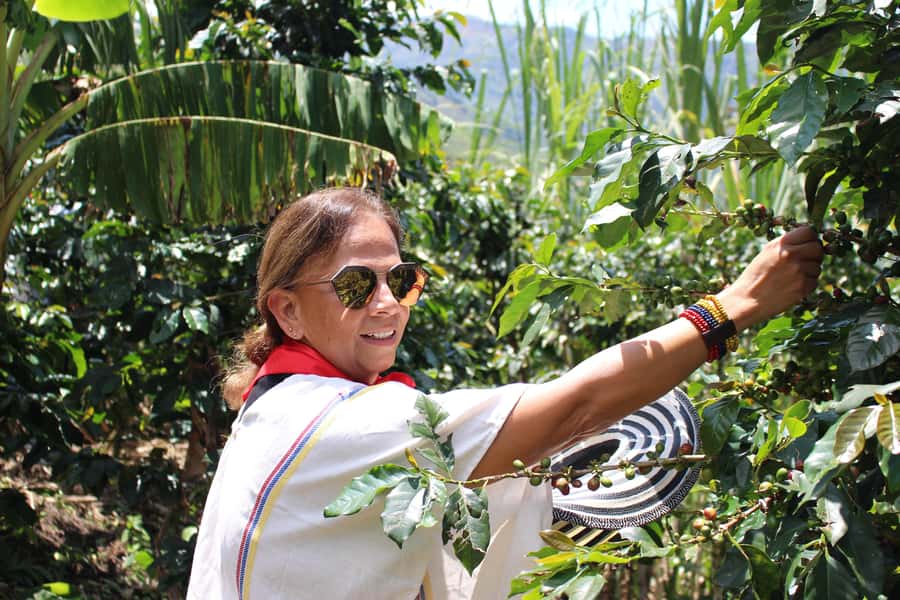 Medellin: Coffee Tour with Hotel Transfers and Meals - Key things that make this Medellín coffee tour worth your time