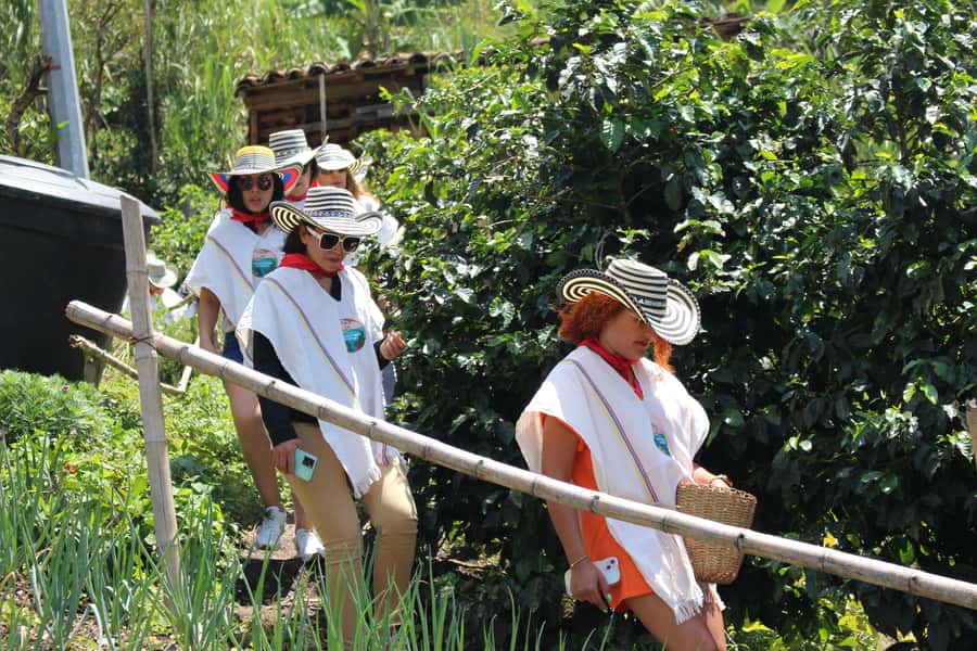 Medellin: Coffee Tour with Hotel Transfers and Meals - Why Finca La Arrinconada feels different than a typical coffee stop
