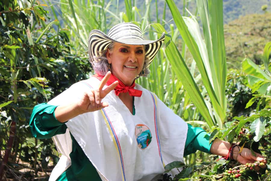 Medellin: Coffee Tour with Hotel Transfers and Meals - From planting to roasting: what you learn and what to pay attention to