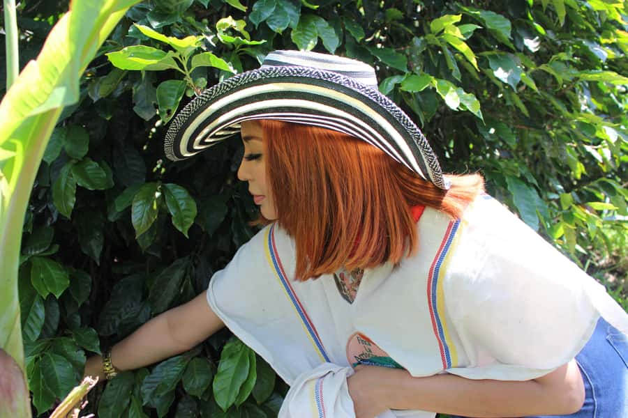 Medellin: Coffee Tour with Hotel Transfers and Meals - Coffee tasting: 100% Colombian flavor plus real preparation comparisons