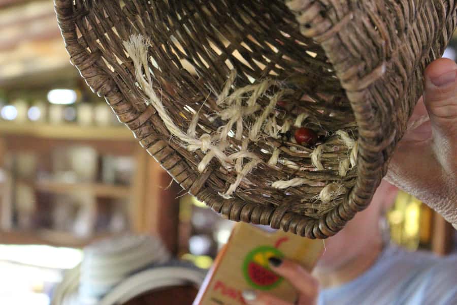 Medellin: Coffee Tour with Hotel Transfers and Meals - Fiambre paisa lunch with Casagrande mountain views